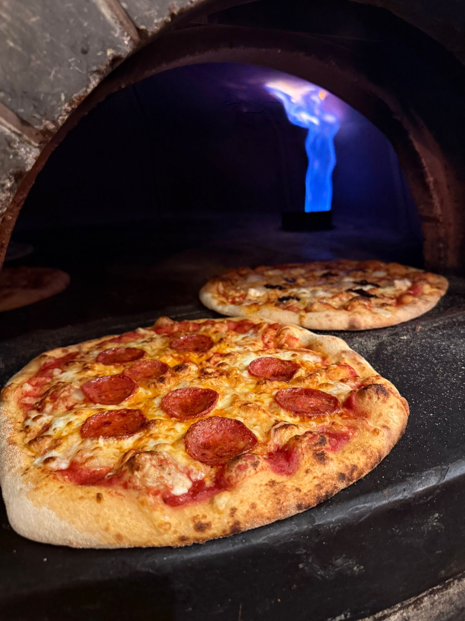 The Holly Bush photo 4