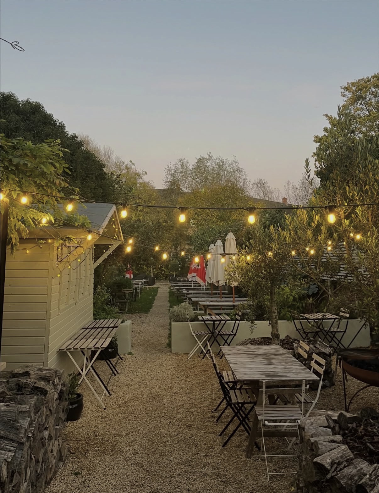 The Plough photo 5